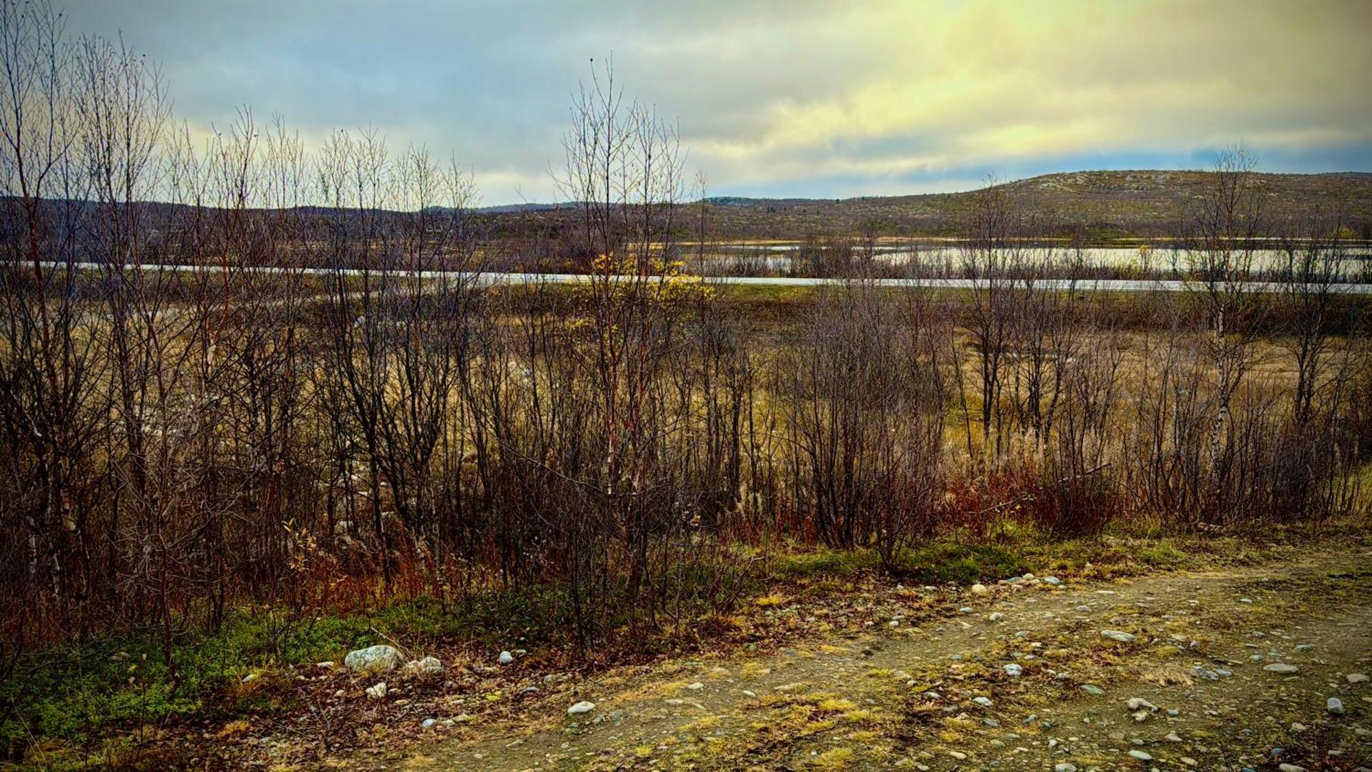 Cottage Lavkavann Finnmarksvidda Skoganvarre Esterno foto